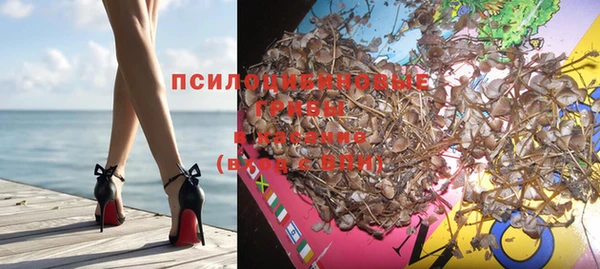 тгк Новокубанск