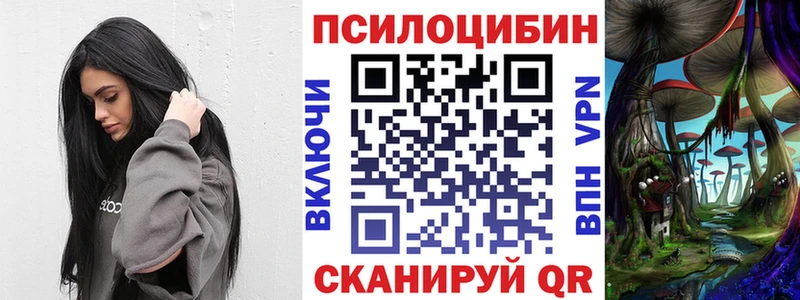 Галлюциногенные грибы Cubensis сколько стоит Новомичуринск