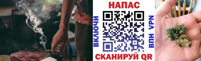 дарнет шоп  Новомичуринск  Каннабис ГИДРОПОН 